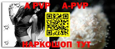 СК Новодвинск
