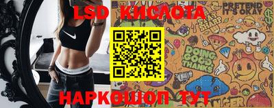 СК Новодвинск