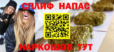 СК Новодвинск