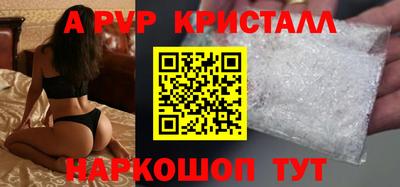 СК Новодвинск