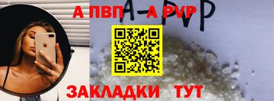 СК Новодвинск