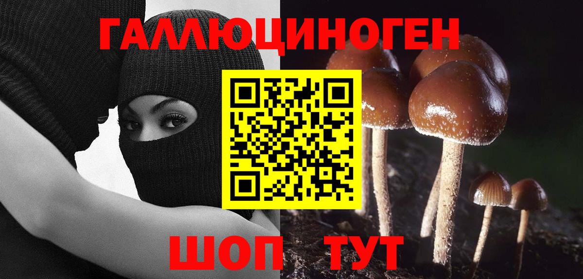 Псилоцибиновые грибы ЛСД  Галлюциногенные грибы мицелий  Томск  Вход с VPN 