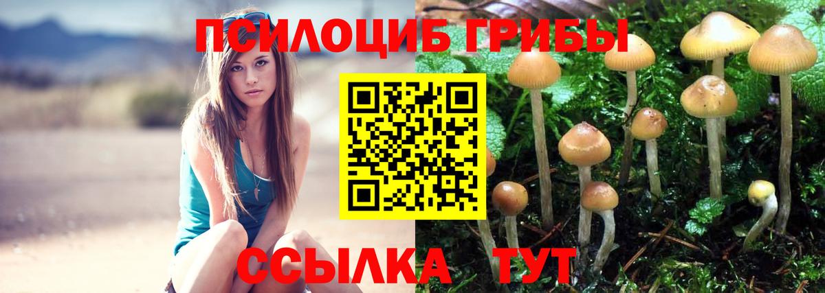 Псилоцибиновые грибы MAGIC MUSHROOMS Томск